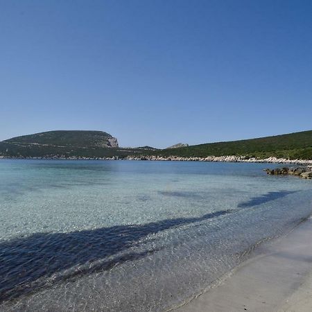 Villa Margherita Alghero Ngoại thất bức ảnh