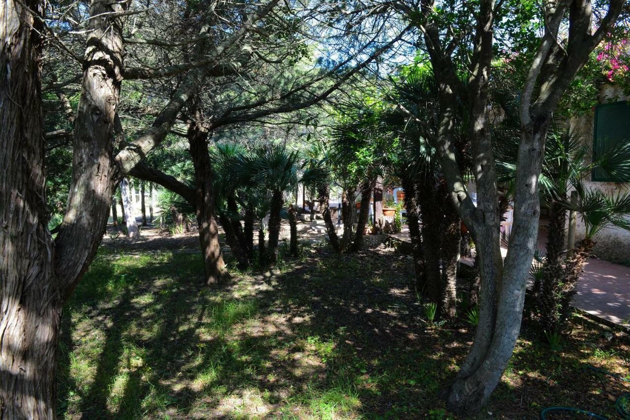 Villa Margherita Alghero Ngoại thất bức ảnh